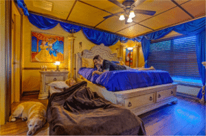 disney home decor Decor Ideas by Room 