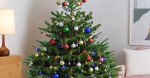How to Choose the Right Home Decorators Collection Christmas Tree
