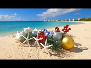 Ocean or sand scenes Perfect for creating a comforting, holiday: