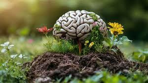 Emotional and Cerebral Benefits: 