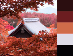 How to Balance the Colour Palette: