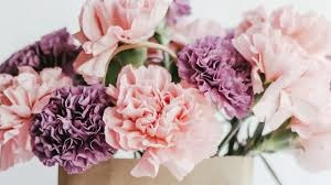 The Language of Happy Birthday Flowers What Each Bloom Really Means: