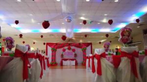 Stylish Colour Palette for Strawberry Shortcake Birthday Decorations: 