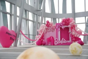 Barbie Birthday Party Decorations Colour Themes: