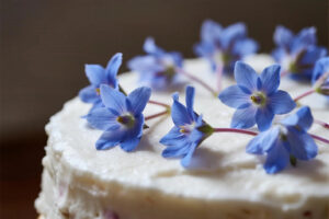 The Most Popular Flower Varieties Used on Cakes Right Now: